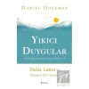 Yıkıcı Duygular