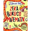 Zeka Bükücü Matematik