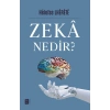 Zekâ Nedir?