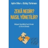 Zeka Nedir? Nasıl Yönetilir?