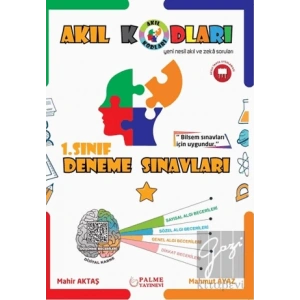 1. Sınıf Akıl Kodları Deneme Sınavı