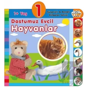 1+ Yaş Dostumuz Evcil Hayvanlar