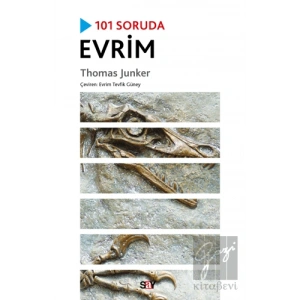 101 Soruda Evrim