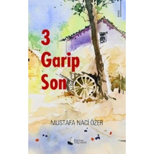 3 Garip Son