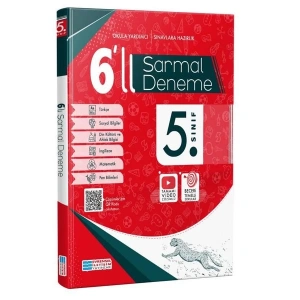 5. Sınıf 6lı Sarmal Deneme
