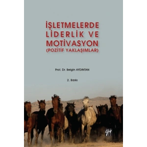 İşletmelerde Liderlik ve Motivasyon (Pozitif Yaklaşımlar) - Belgin AYDINTAN