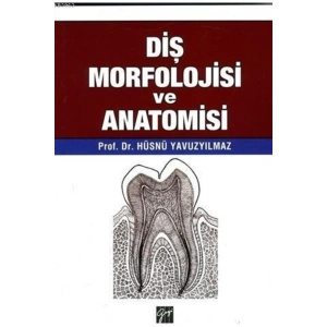 Diş Morfolojisi Ve Anatomisi-