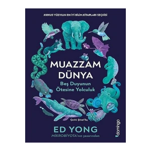 Muazzam Dünya: Beş Duyunun Ötesine Yolculuk