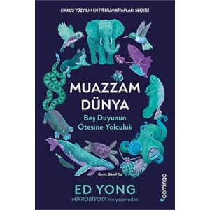 Muazzam Dünya: Beş Duyunun Ötesine Yolculuk + Matematiğin Kısa Tarihi: Sonsuzluğun Terbiye Edilişi