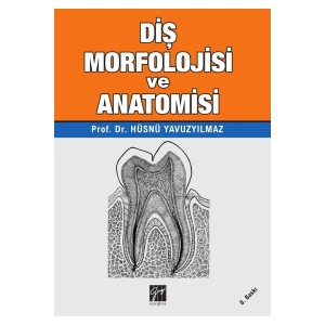 Diş Morfolojisi ve Anatomisi