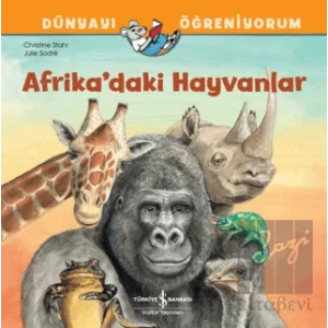 Afrikadaki Hayvanlar Dünyayı Öğreniyorum
