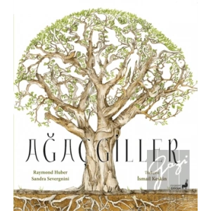 Ağaçgiller
