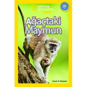 Ağaçtaki Maymun