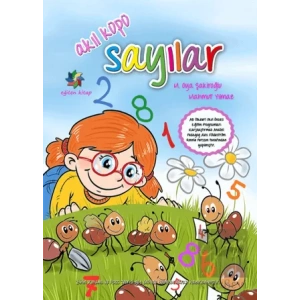 Akıl Küpü - Sayılar