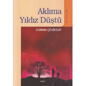 Aklıma Yıldız Düştü