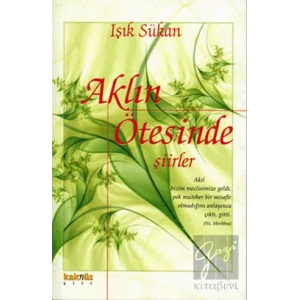 Aklın Ötesinde Şiirler