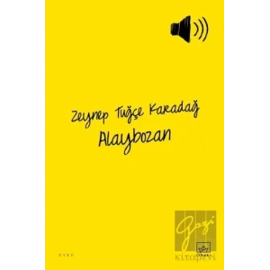 Alaybozan