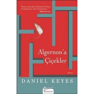 Algernon’a Çiçekler