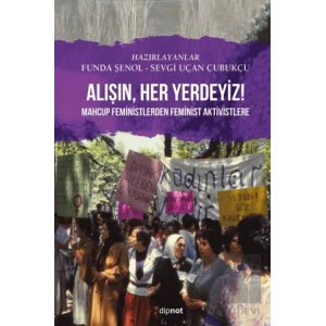 Alışın, Her Yerdeyiz Mahcup Feministlerden Feminist Aktivistlere