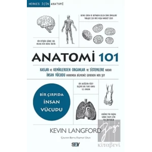 Anatomi 101