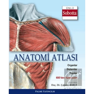 Anatomi Atlası (Sobotta Çizimleri)