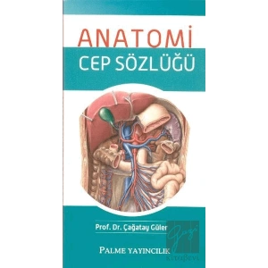 Anatomi Cep Sözlüğü