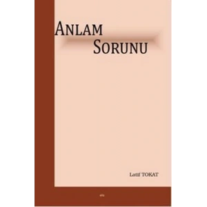 Anlam Sorunu