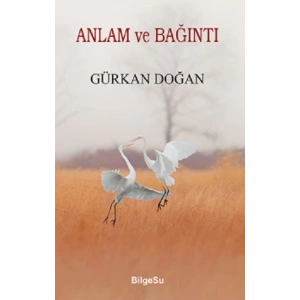 Anlam Ve Bağıntı