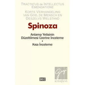 Anlama Yetisinin Düzeltilmesi Üzerine İnceleme