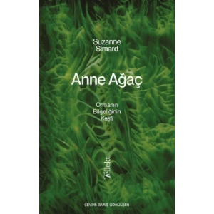 Anne Ağaç