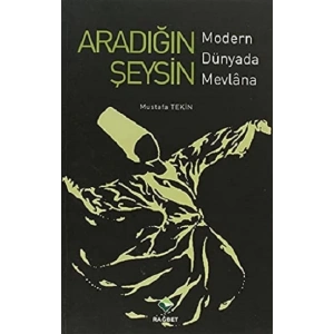 Aradığın Şeysin