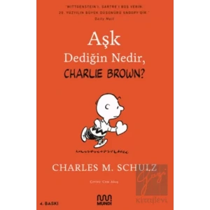 Aşk Dediğin Nedir, Charlie Brown?