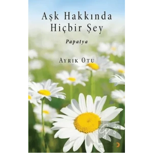 Aşk Hakkında Hiçbir Şey