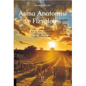 Asma Anatomisi ve Fizyolojisi