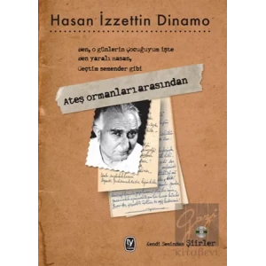 Ateş Ormanları Arasından