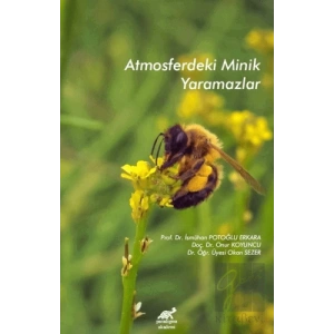 Atmosferdeki Minik Yaramazlar