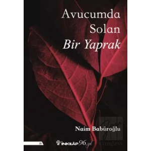 Avucumda Solan Bir Yaprak