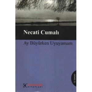 Ay Büyürken Uyuyamam