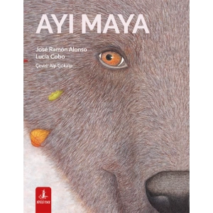 Ayı Maya