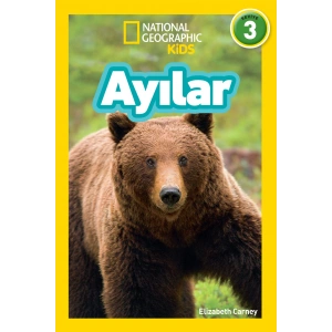 Ayılar