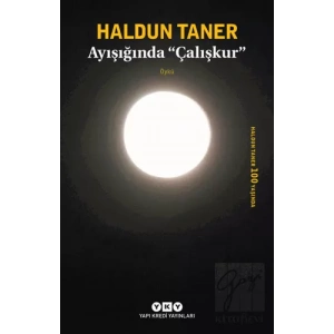 Ayışığında Çalışkur