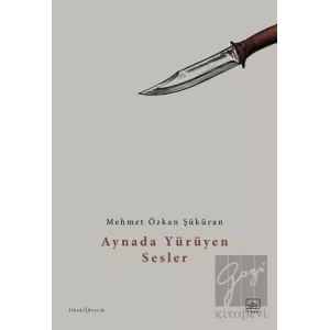 Aynada Yürüyen Sesler