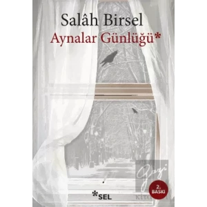 Aynalar Günlüğü