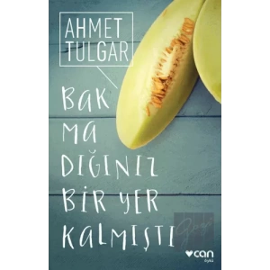 Bakmadığınız Bir Yer Kalmıştı