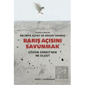 Barış Açısını Savunmak: Çözüm Sürecinde Ne Oldu