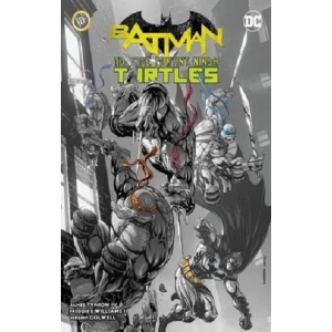 Batman: Ninja Kaplumbağalar Cilt 1