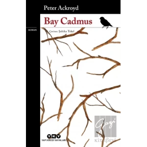 Bay Cadmus