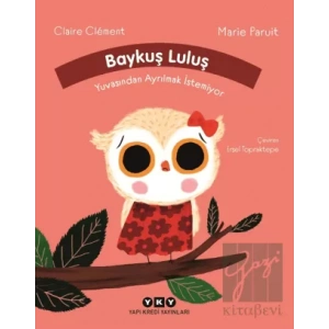 Baykuş Luluş Yuvasından Ayrılmak İstemiyor