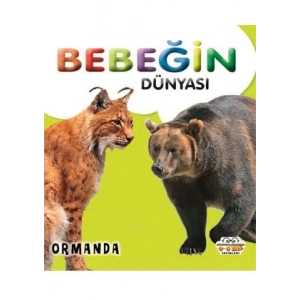 Bebeğin Dünyası - Ormanda (Sıvama Cilt)