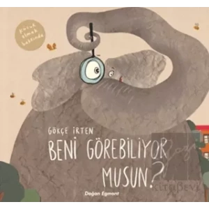 Beni Görebiliyor Musun?